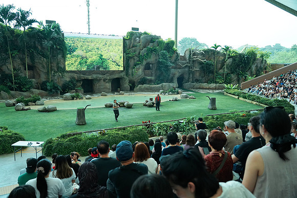 DSC00439