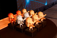 Img-005