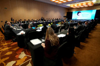 Img-349