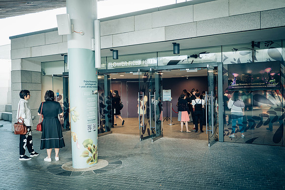 Img_0010