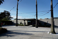 DSC00215