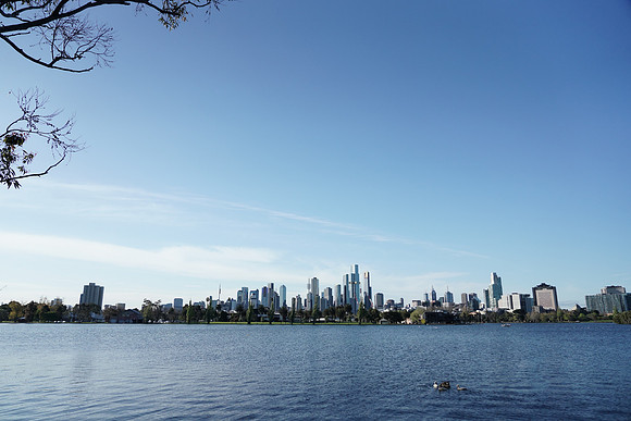 DSC00209