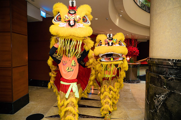 Img-0065