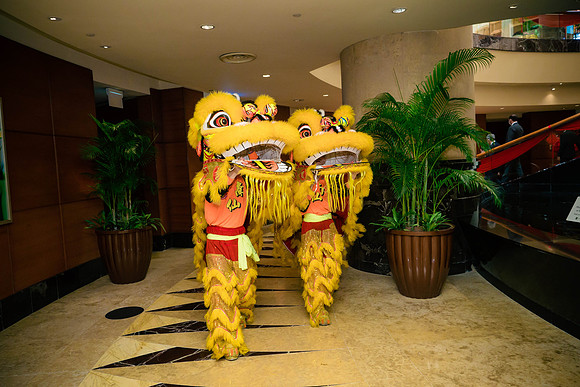 Img-0066