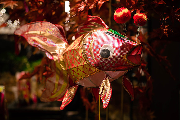 Img-0011