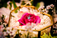 Img-0010