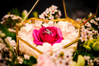 Img-0009