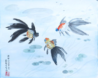 Img-0012