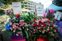 Img_0004