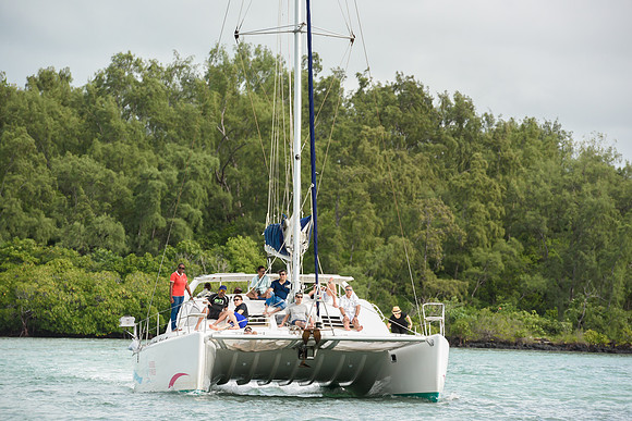 YS_1081