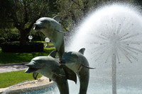 ROMA_0366