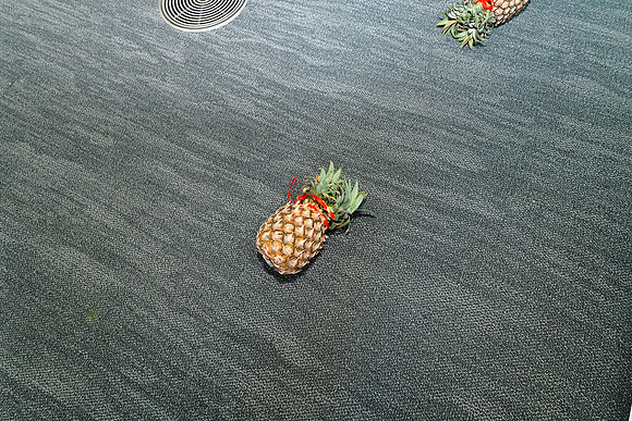 PB110146