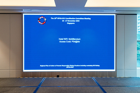 PB260001