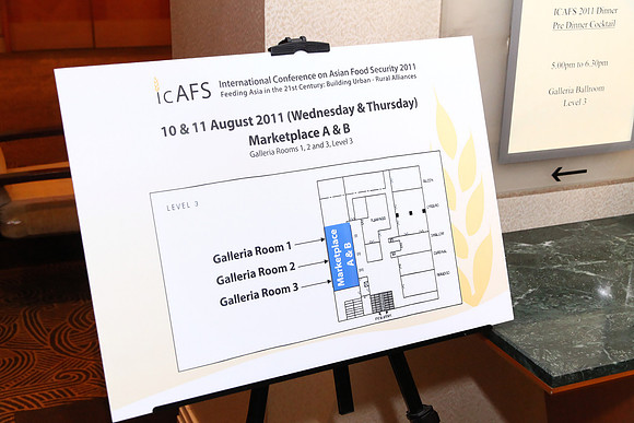 ICAFS_0011