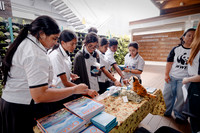 P2060027