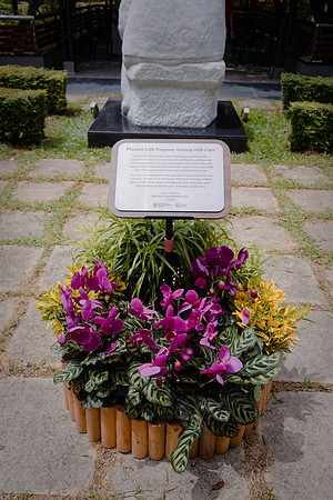Epixfoto_0533