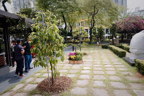 Epixfoto_0535